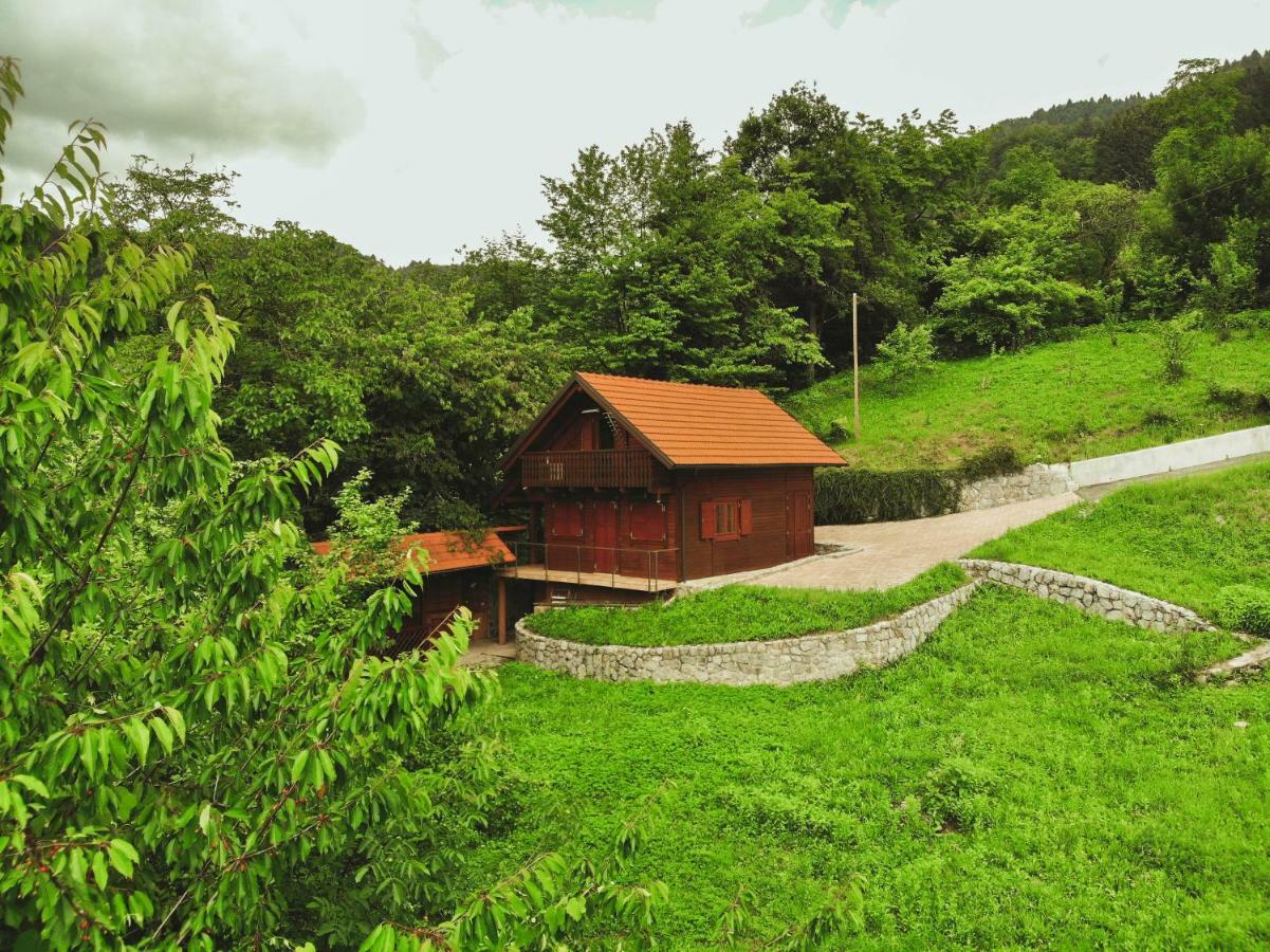Lazec Country House Pluznje Exterior foto